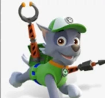 汪汪队立大功狗狗都是什么品种,汪汪队中的11个狗狗品种