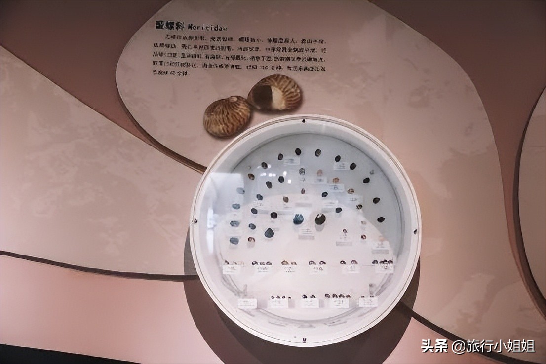 夏日海边浪漫迷人,滨城风光秀丽浪漫气息爆表