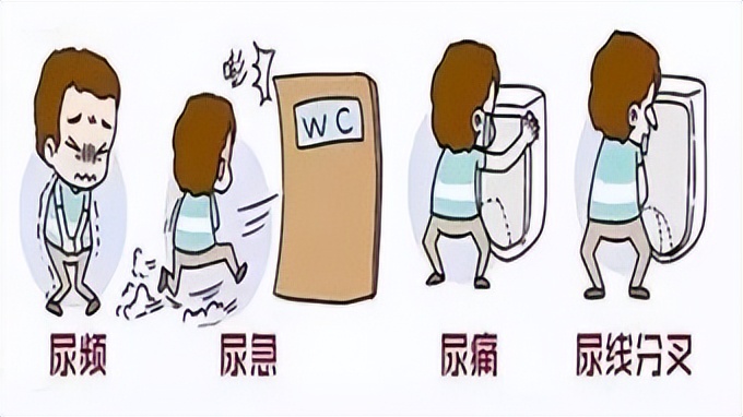 治疗尿路感染十大消炎药图片,治疗尿路感染尿痛的药有哪些