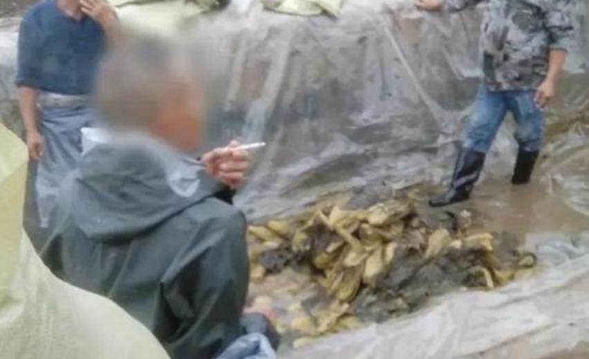 一夜蒸发数亿人民币,康师傅变成“糠师傅”,严钦武后悔已晚