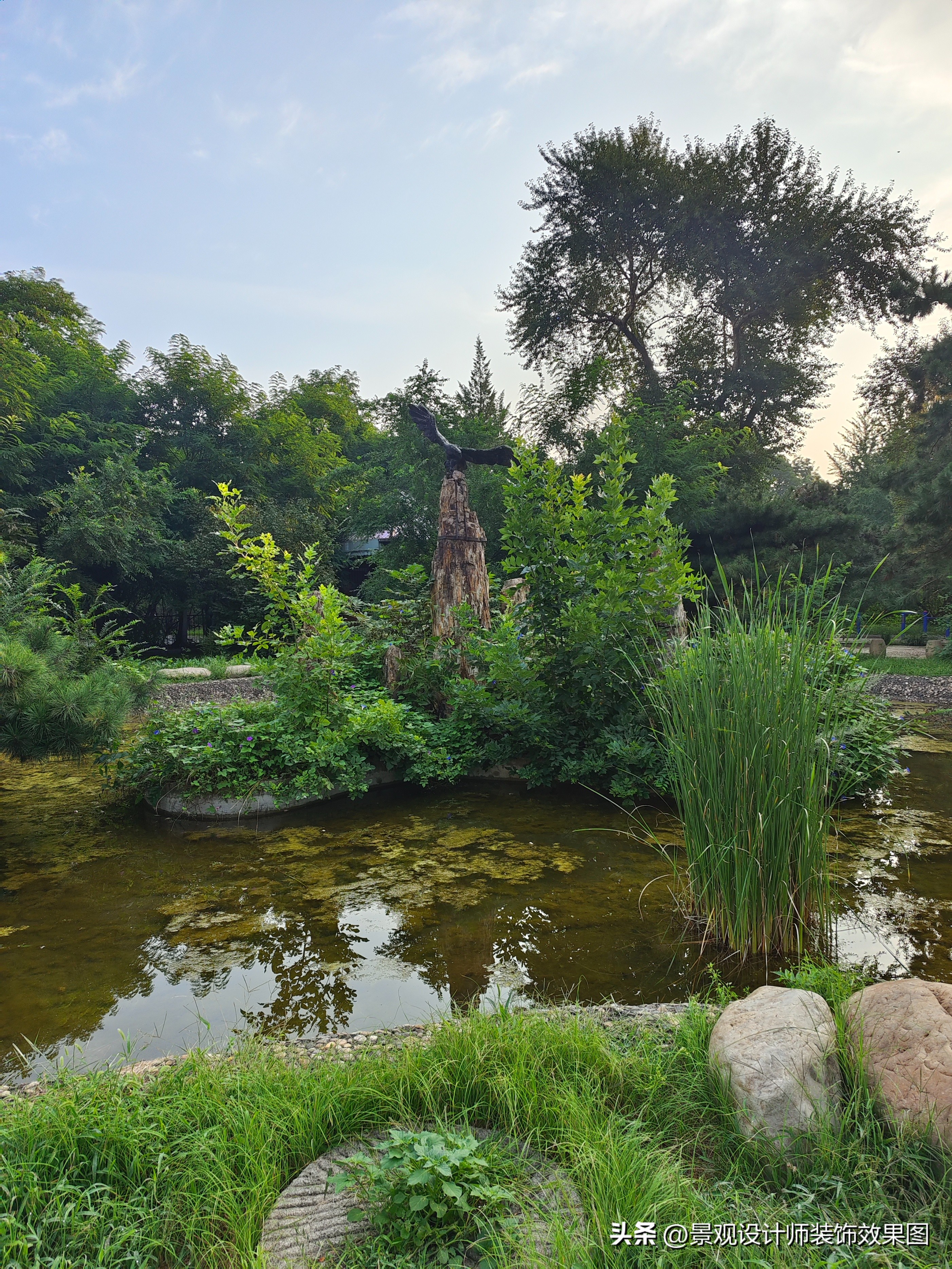 沈阳青年公园所在地,沈阳青年公园
