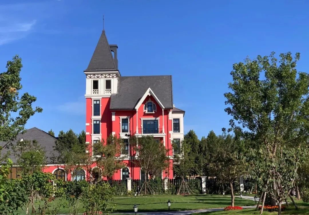 乡村振兴100讲全集,100个经典乡村振兴案例