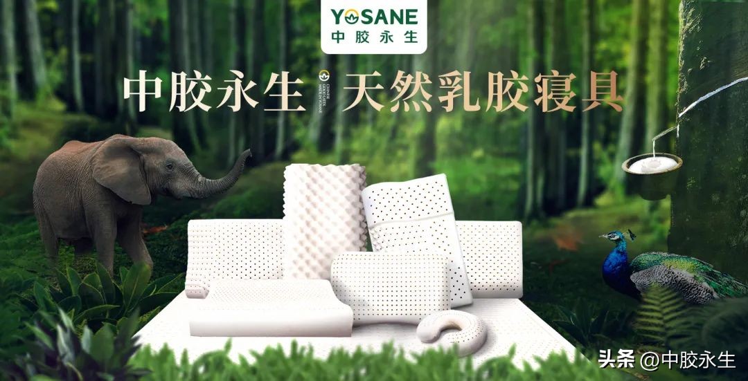 舒睡有什么用,舒睡经典款