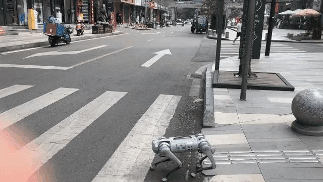 遛机械狗兼职,遛机械狗