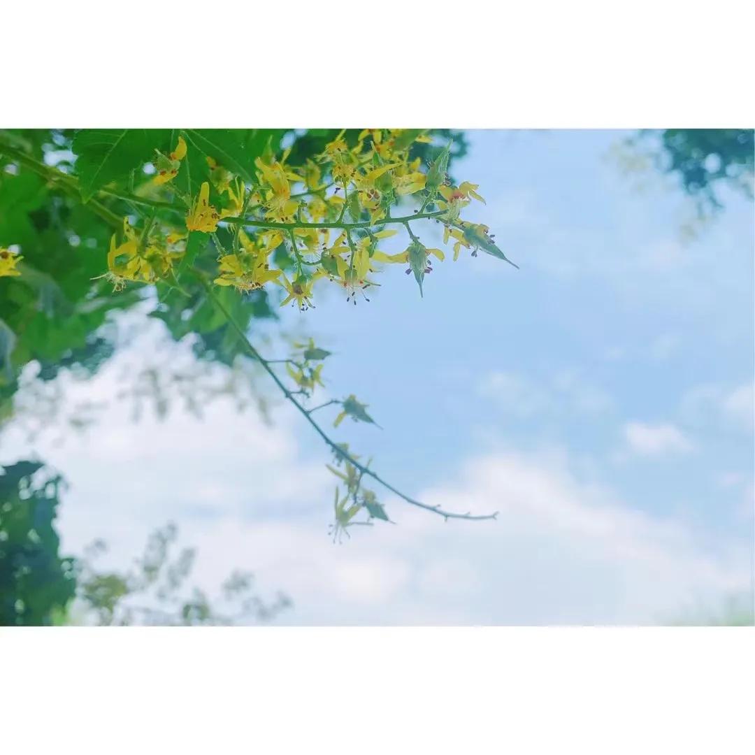 孩子3岁后说不听又打不得？你需要这4个说话技巧