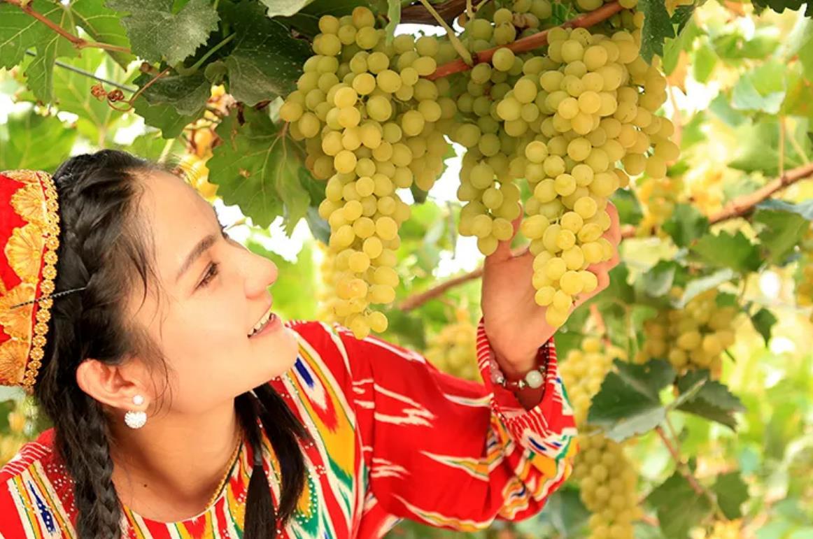 你知道内蒙古为啥不包邮吗,新疆内蒙为什么不包邮