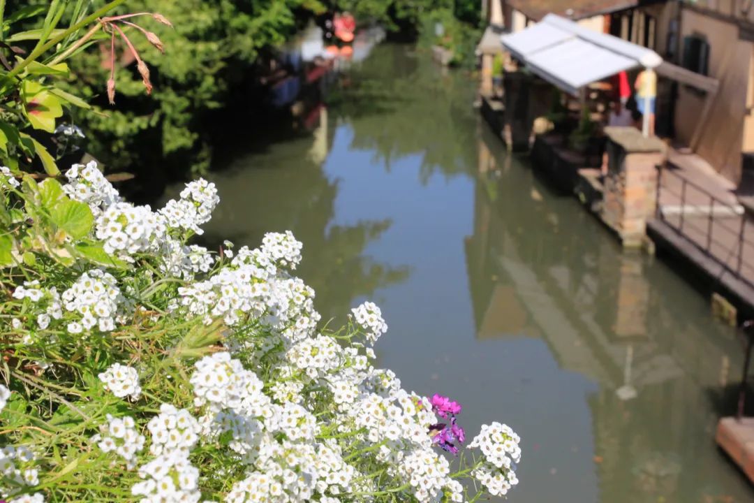 开车到欧洲经过19个国家,开车去欧洲游记3