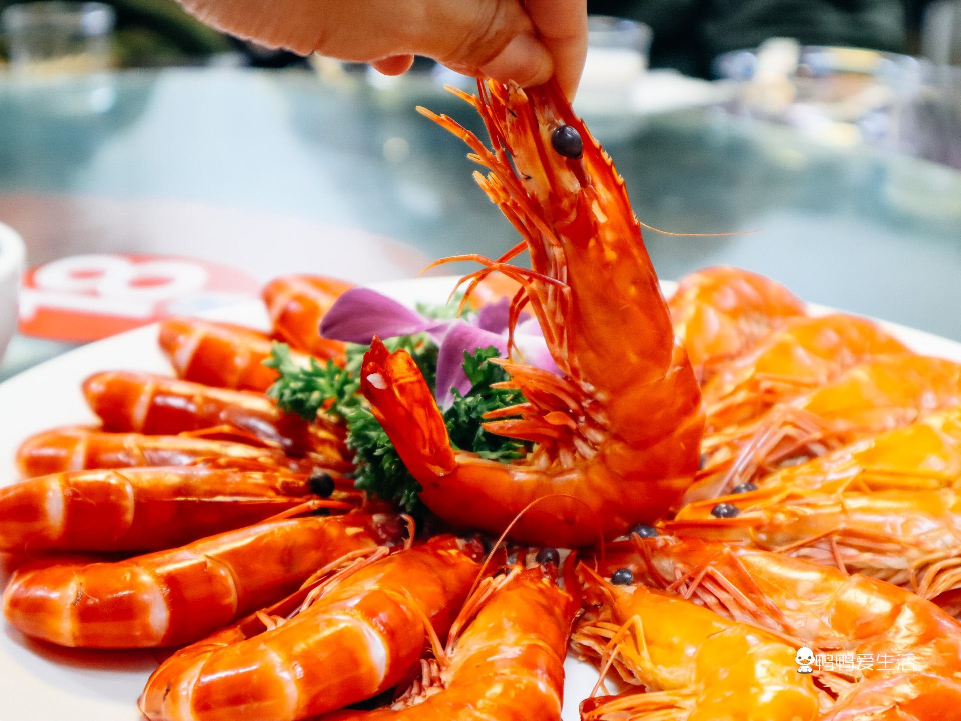 来厦门八市阿明海鲜，吃到糖醋话梅鱼、养殖巴浪鱼，新鲜又实在！