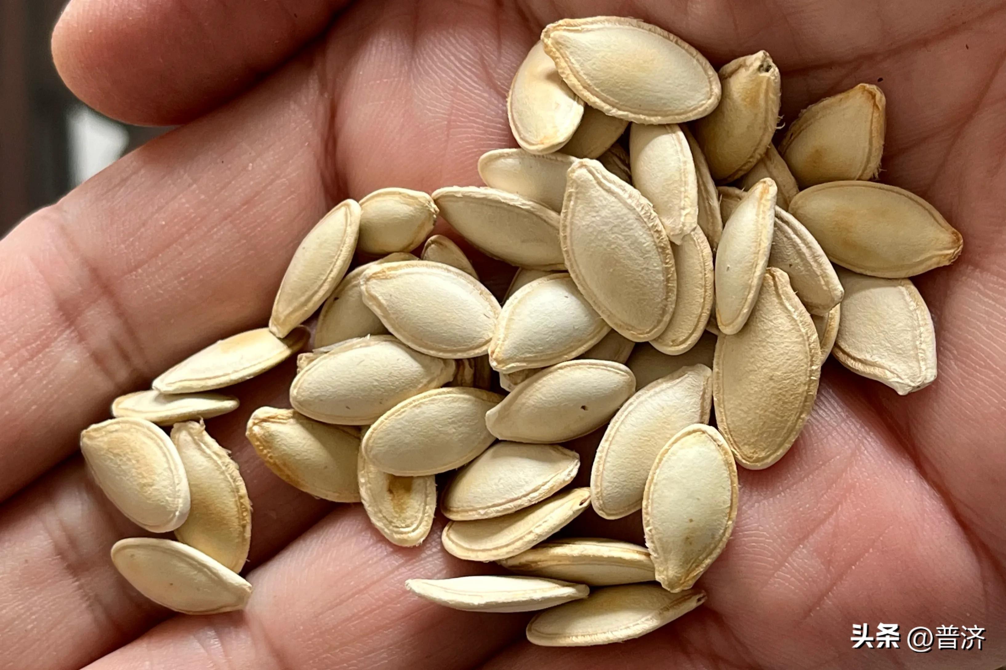 南瓜子陷阱：品质新鲜饱满，价钱不高也不低，到手一掂才感到有坑