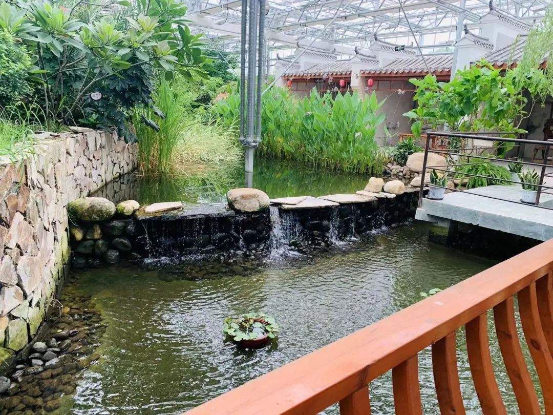 金湖水漾年华与建湖大纵湖,淮安金湖县的金湖水漾年华在哪里