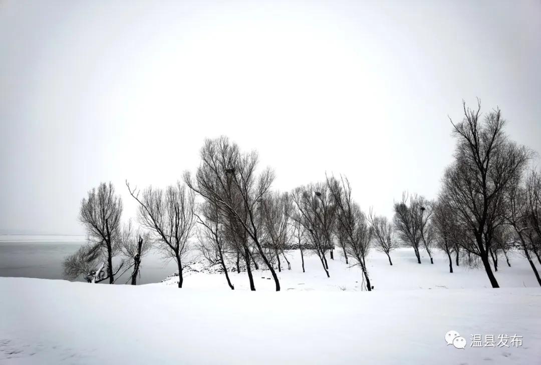 来这里邂逅最美秋韵,焦作温县玩雪