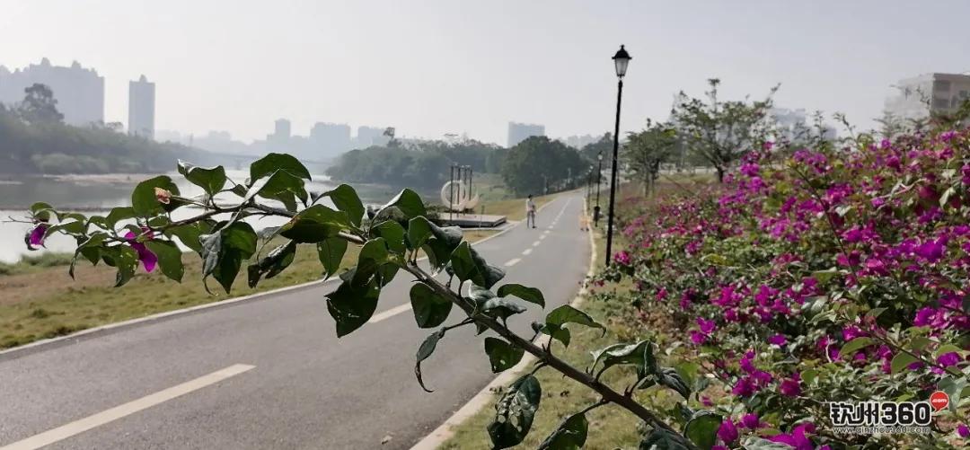 热议！大运河钦州青年水闸枢纽即将动工，网友：趁现在多看几眼吧