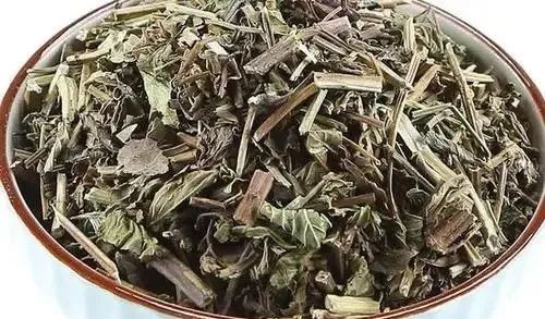 羊中草药的功能主治,羊病中药治疗方法