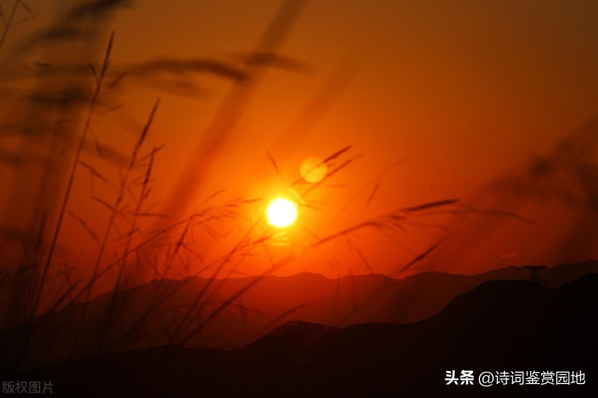 李清照晚年愁苦的原因,对李清照一生的总结