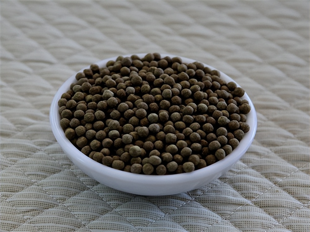 肾阳足百病消,肾阳一虚百病生