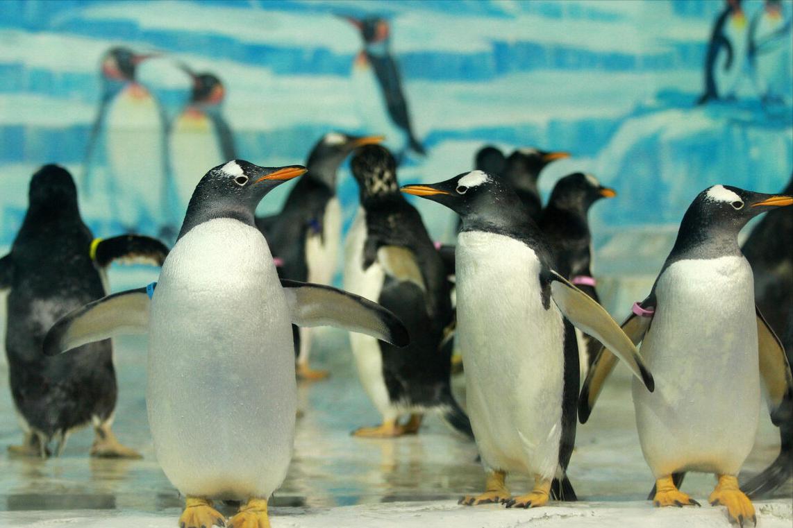 哈尔滨行李寄存哈尔滨站,哈尔滨哪里可以免费寄存行李