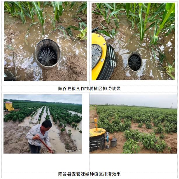 甯傛斂绠＄綉闃叉睕鎺掓稘鏂规,鎺掓按闃叉稘缁煎悎娌荤悊宸ョ▼