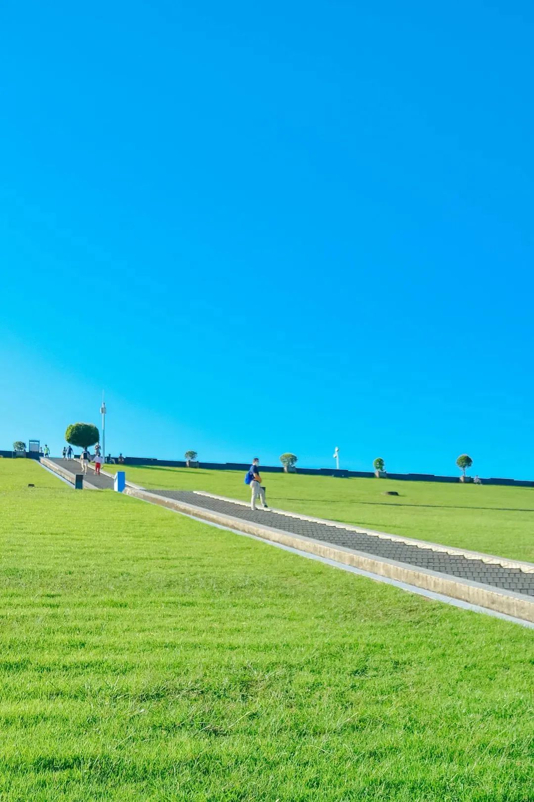 春天去哪儿玩？ABCD四条线路带你“狂飙”福田！