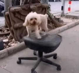 聪明水动画,聪明水的功效和作用