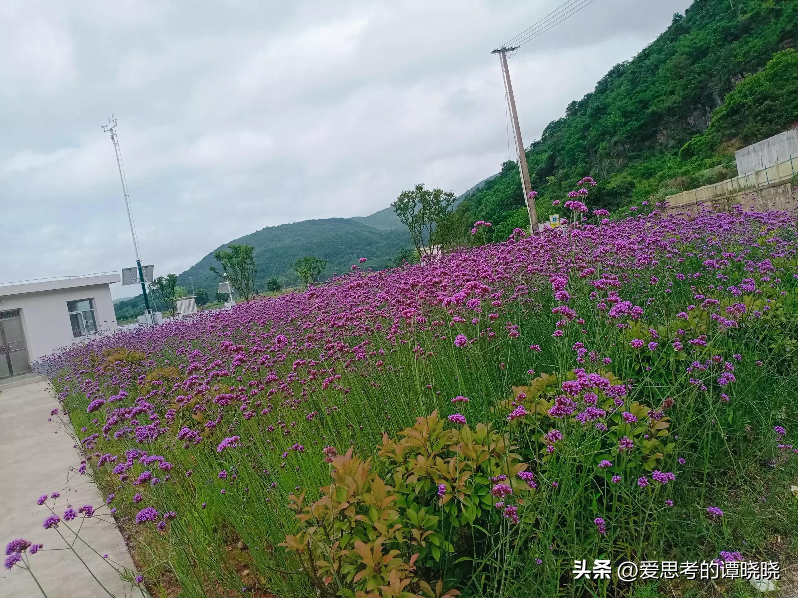 感冒咳嗽来例假可以打针吗,来例假吃感冒药会不会有什么影响