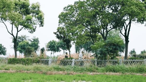 回归乡村的年轻人：自耕自食，无需财务自由