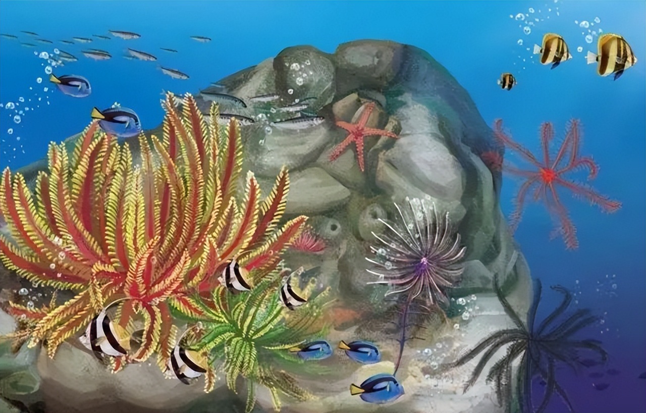 一颗来自地球的螺丝钉,发现外星人遗留的螺丝钉