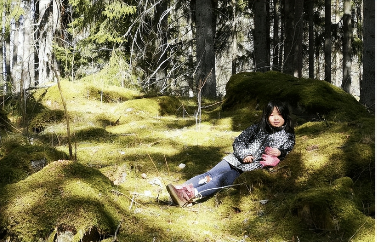 瑞典贫富差距,瑞典贫富差异