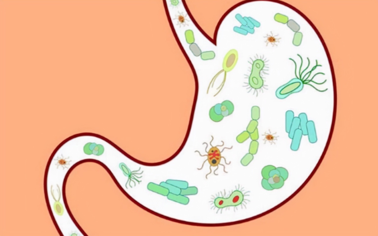 为啥不建议年轻人做胃镜,年轻人胃不舒服有必要做胃镜吗