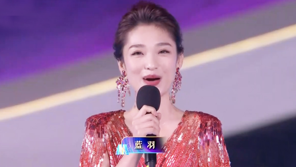 央视主持人组合同台,央视百位主持同台