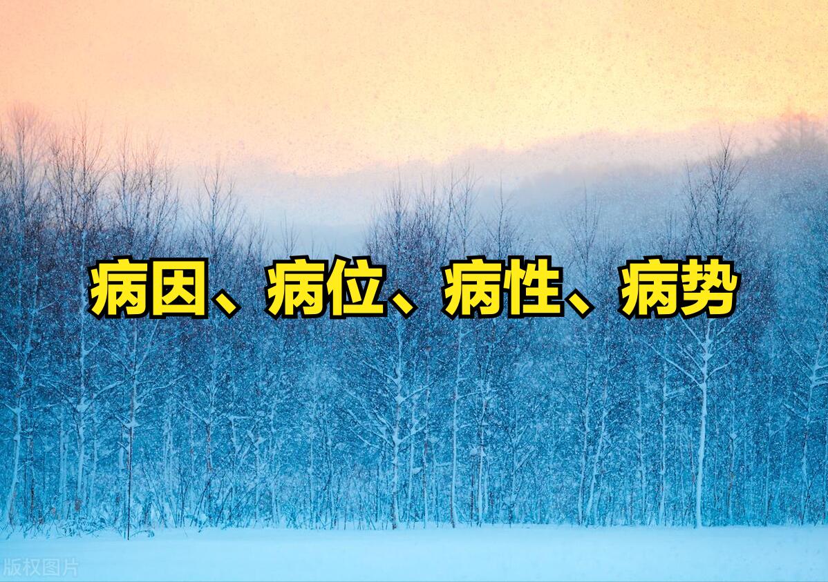中医的辨证论治讲解,学中医辨证100条口诀
