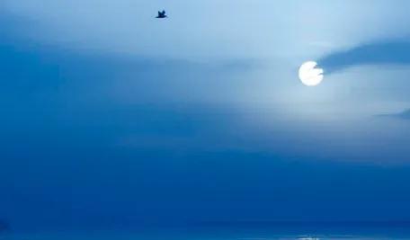 成年人的社交真相全集,成年人社交的5条忠告