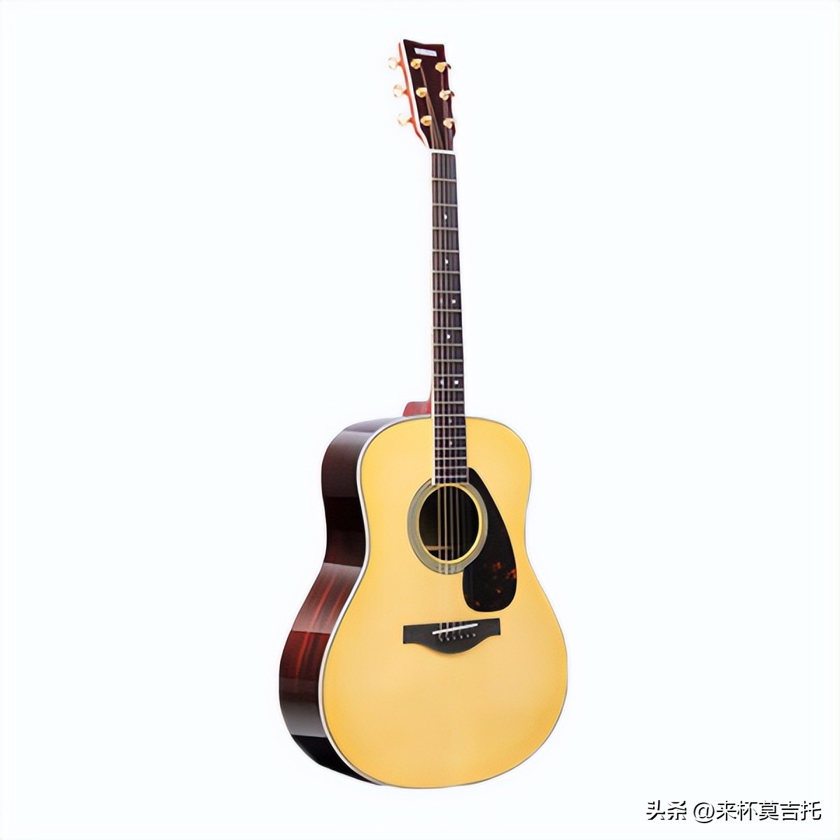 新手该如何选择入门吉他,初学者入门吉他推荐哪款好学