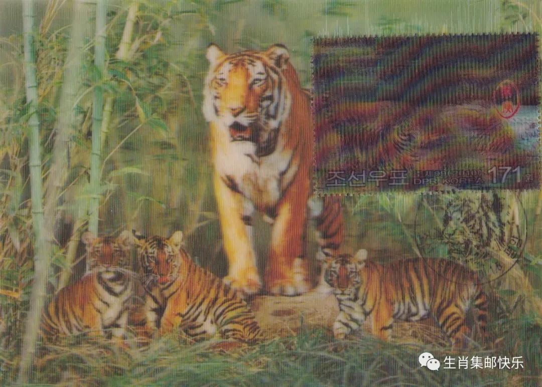 异形明信片如何写,异形明信片邮票贴哪里