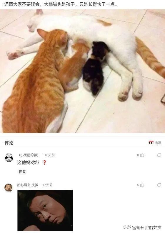 【盐选神回复】爱了爱了