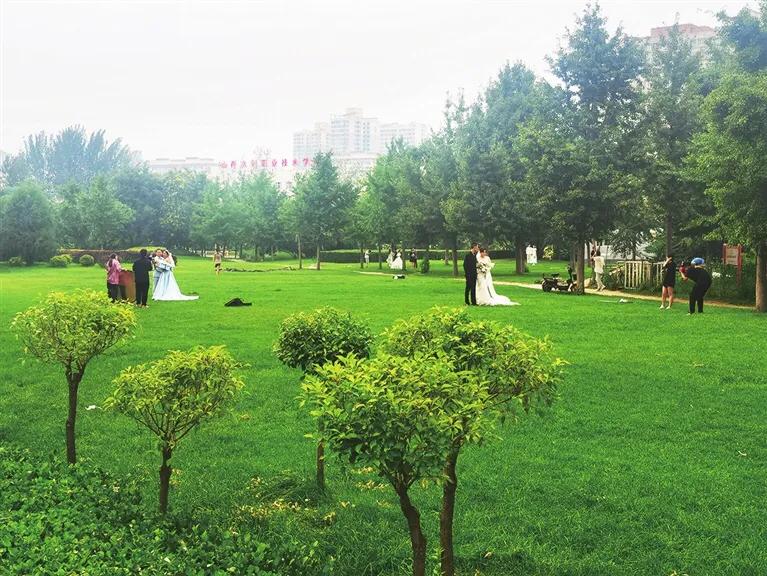 家门口的美景随便拍,家门口拍出唯美照片