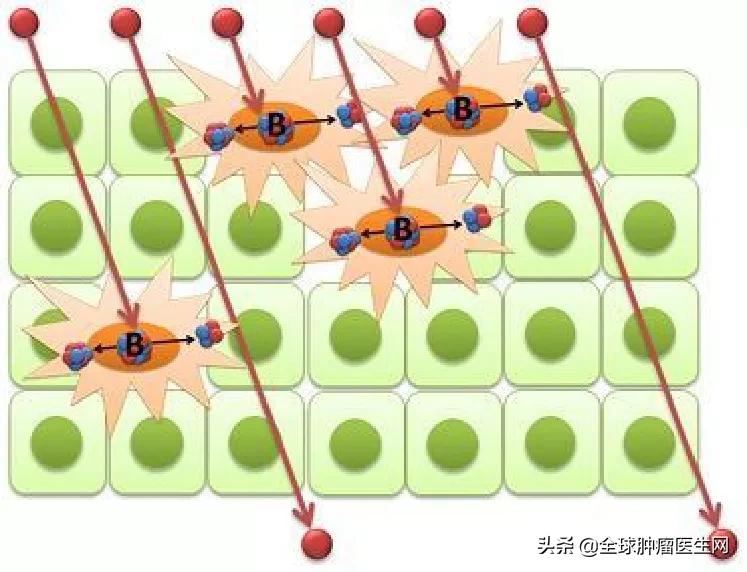 硼中子俘获治疗国内最新进展,国内首台硼中子俘获治疗装置下线