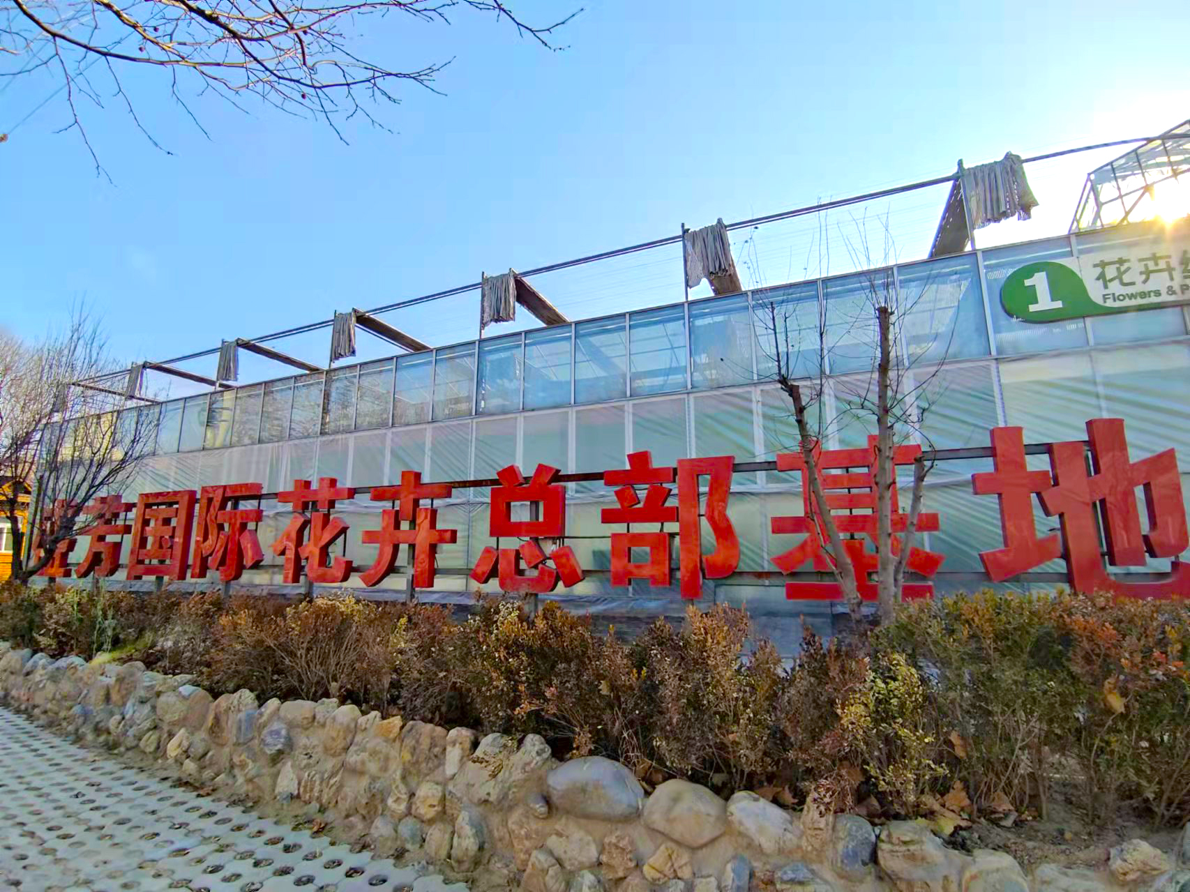 北京宝藏赏花小公园,北京宝藏海洋花市