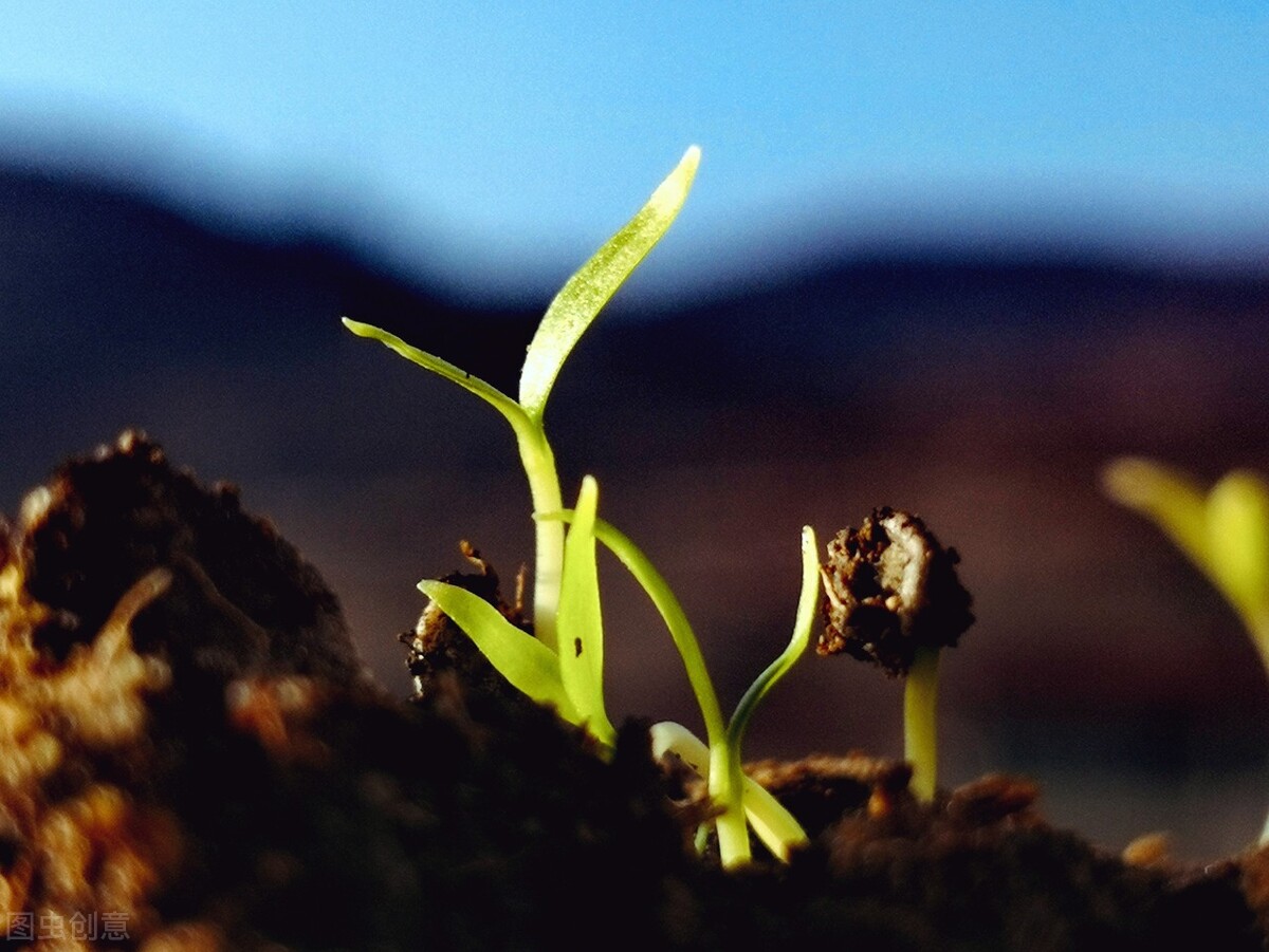 斩草不除根春风吹又生是古诗吗,前列腺炎治疗无效