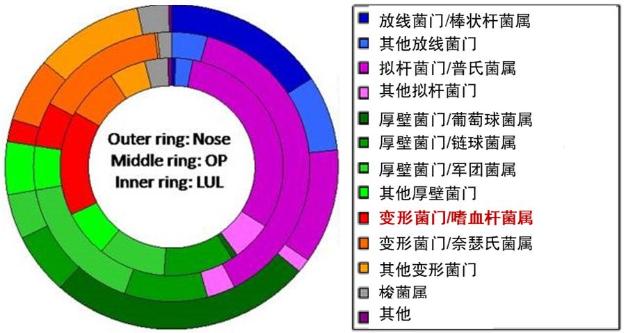周敏教授：慢阻肺病、支扩及慢阻肺支扩重叠综合征气道微生物研究