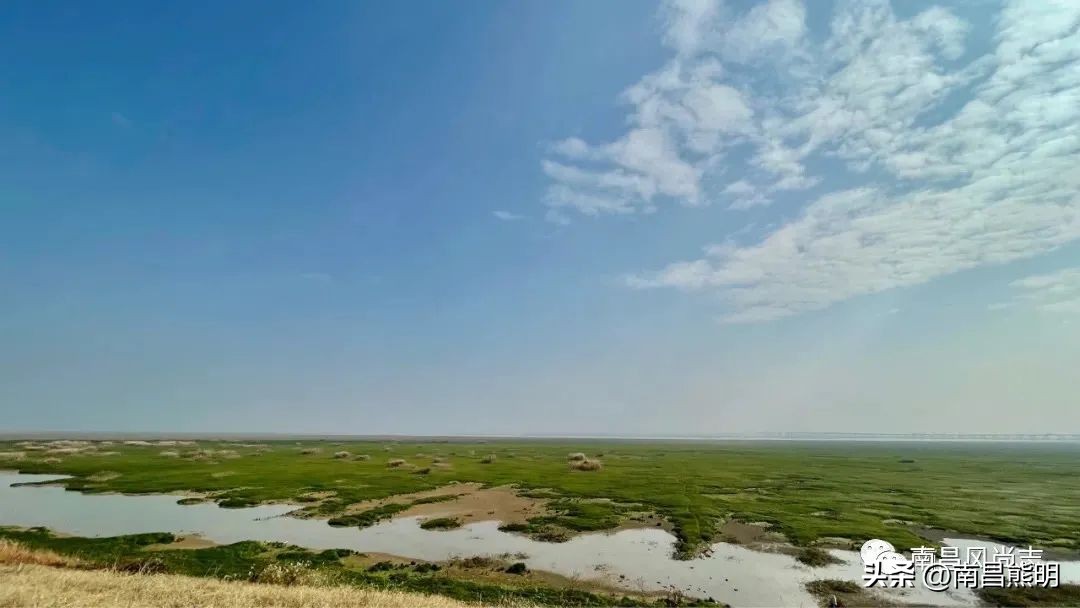 南昌狗颈里传奇：刀光剑影求生藏龙卧虎展神功