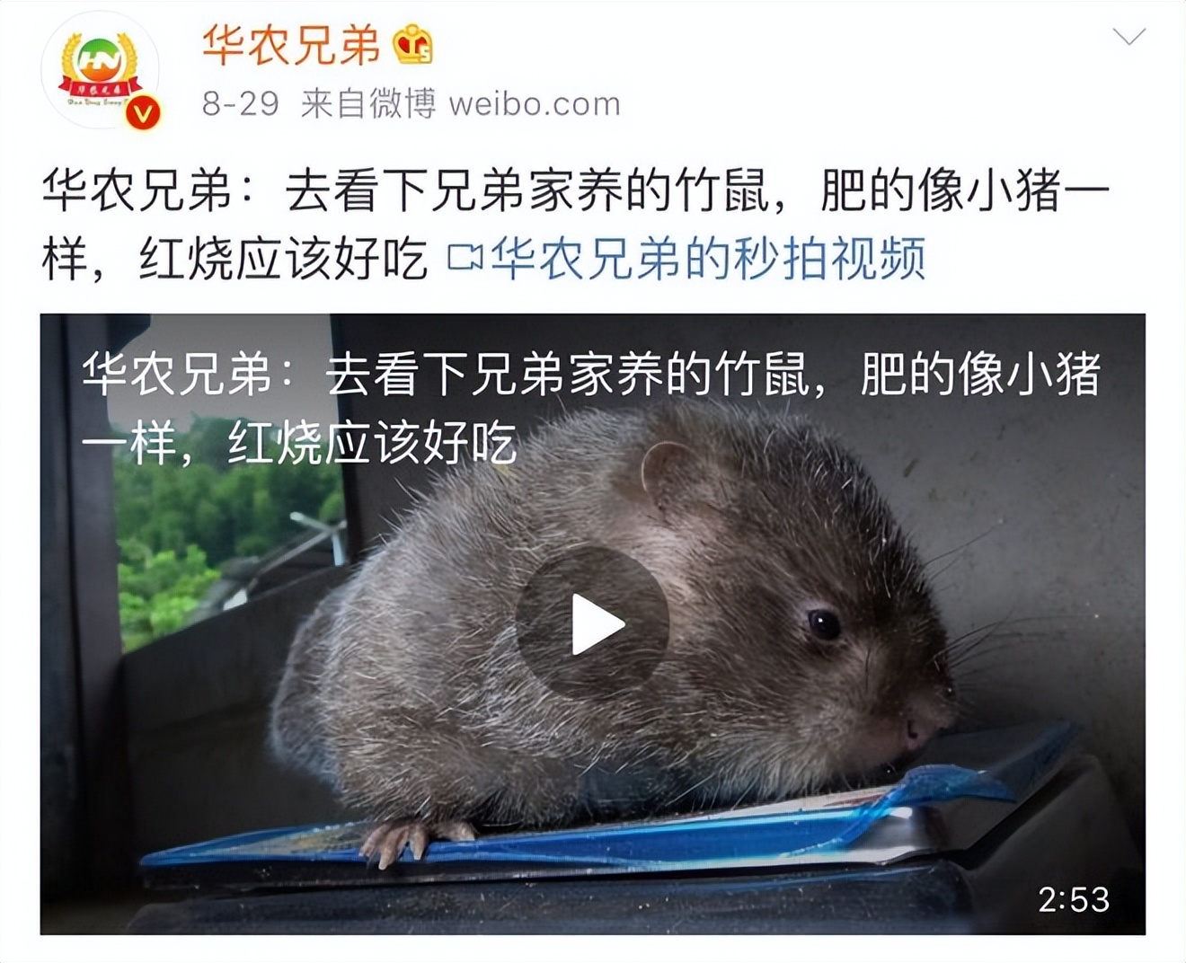 个税起征点是否免养老金 (个税起征点涉及养老金吗)