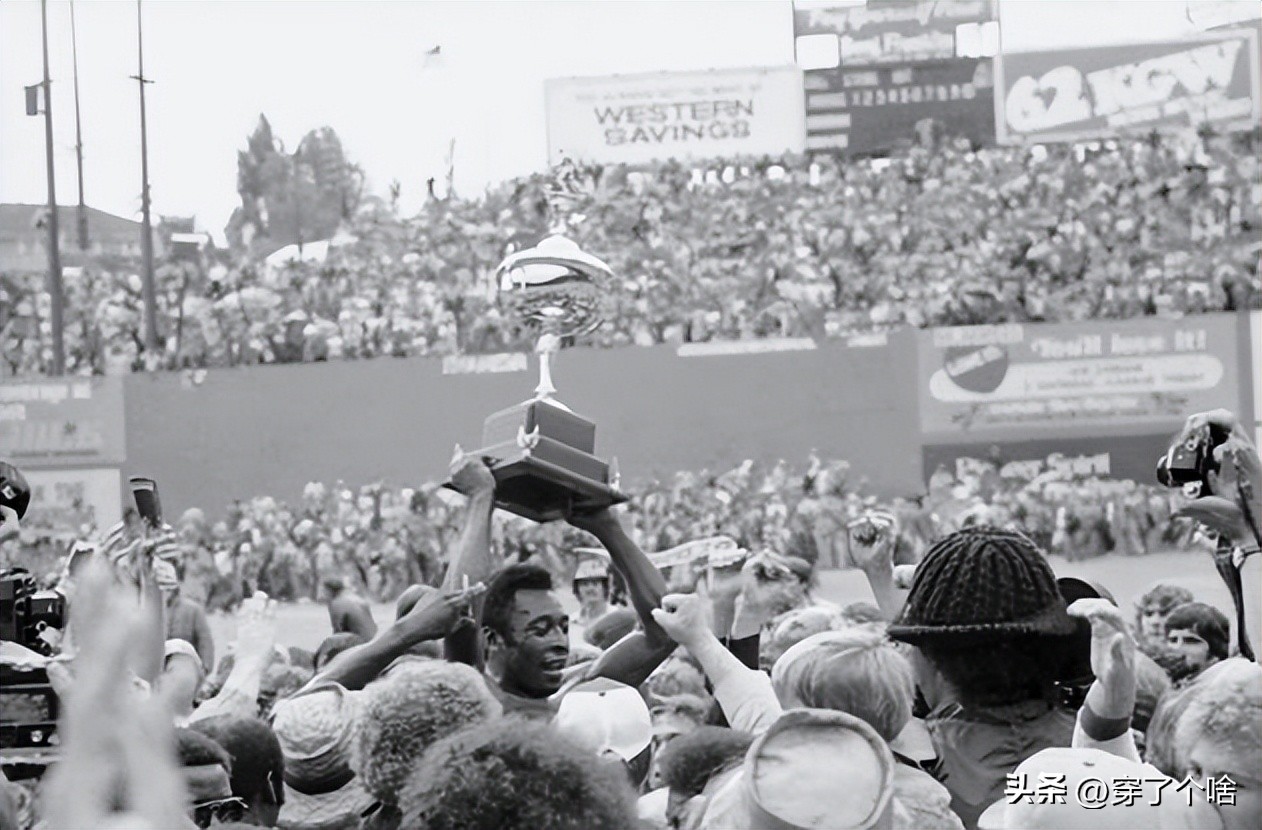 贝利生涯数据,贝利世界杯生涯