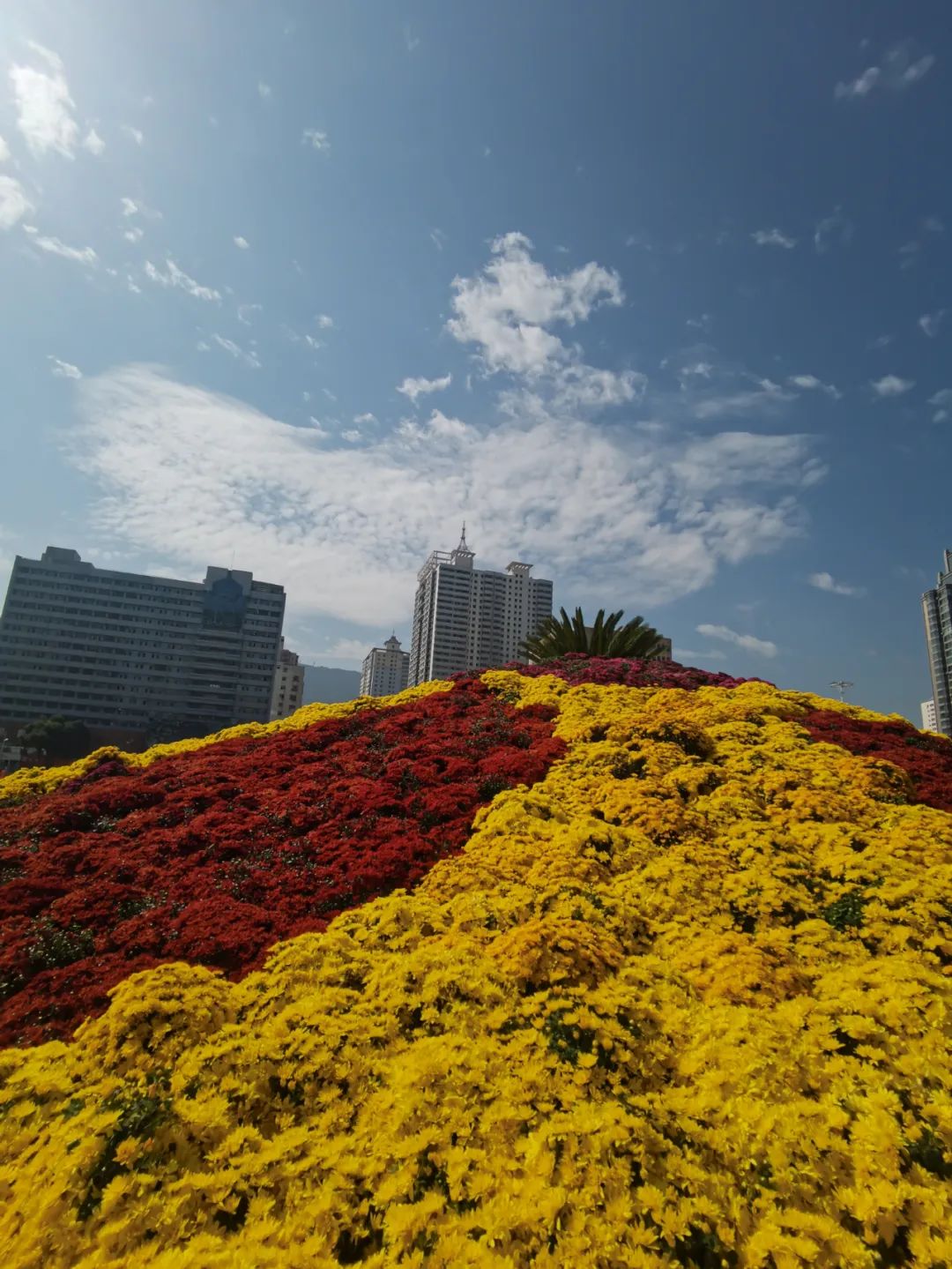 兰州东方红广场近期是哪年改造的,最新兰州东方红广场改造效果图