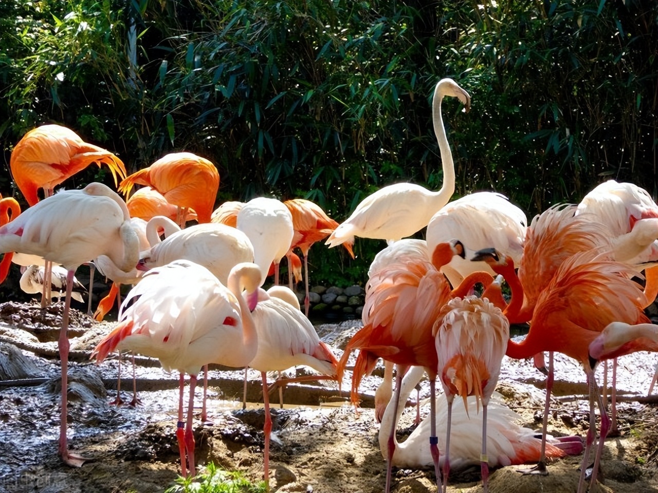 上海十大旅游景点直播,上海旅游景区实时直播