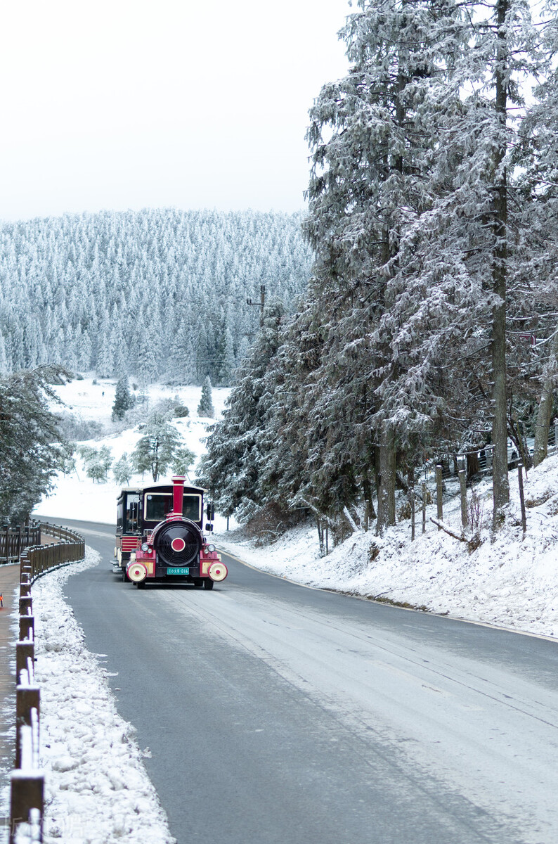 冬日武隆攻略，重庆武隆仙女山冬季二日游攻略-时间、门票及路线