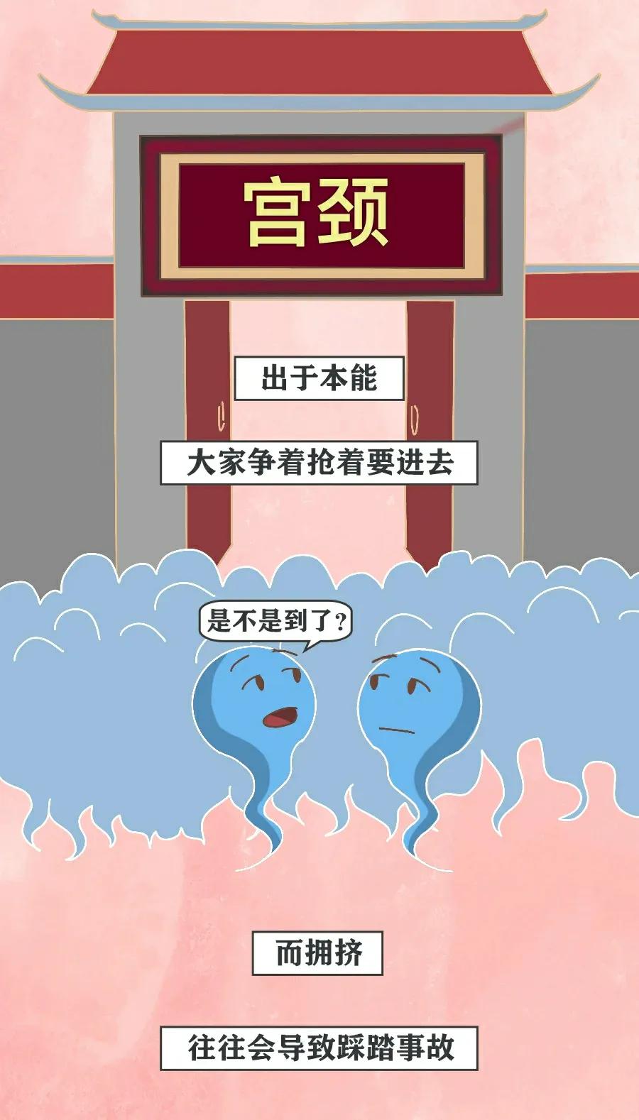 当精子进入女生体内后，会发生什么变化？不要羞于了解！