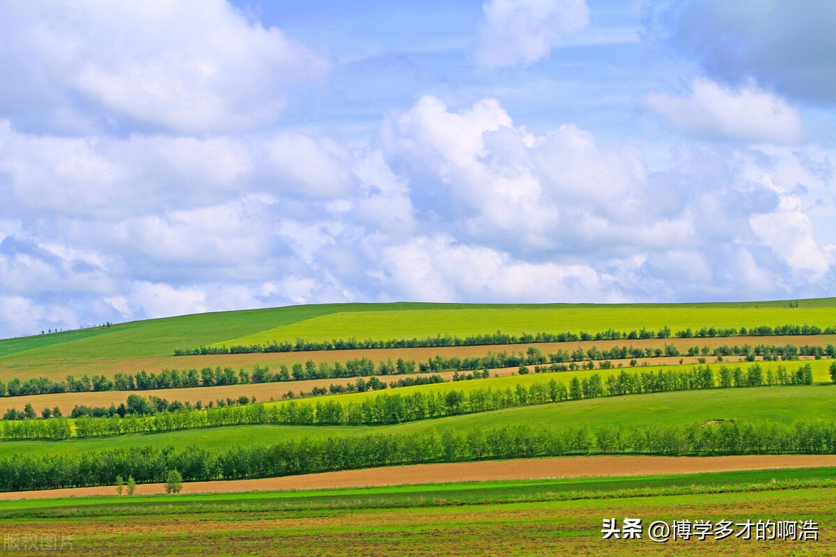 不会哄女朋友是直男吗,哪有什么直男不会哄女生