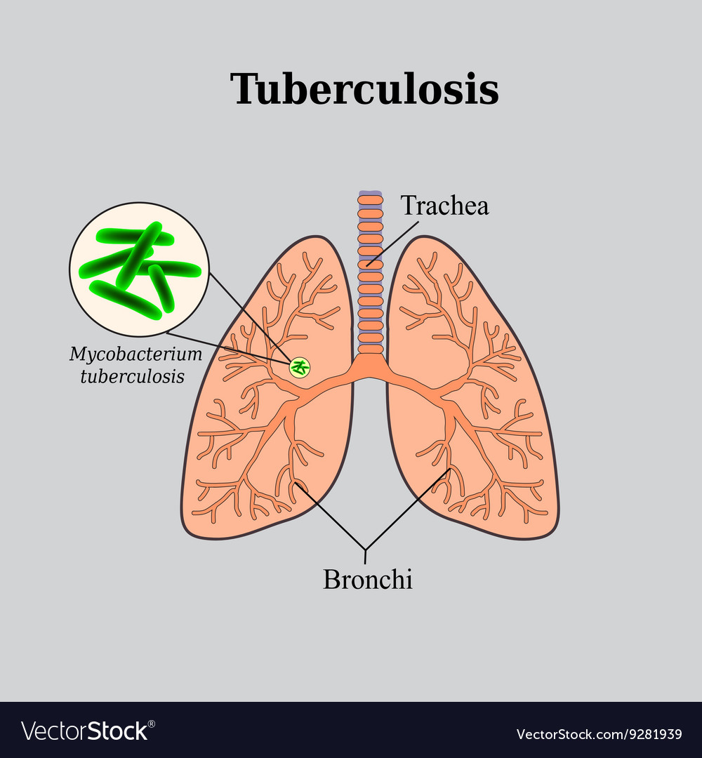 总是安慰常常帮助偶尔治愈原文,常常在安慰偶尔在治愈是什么意思