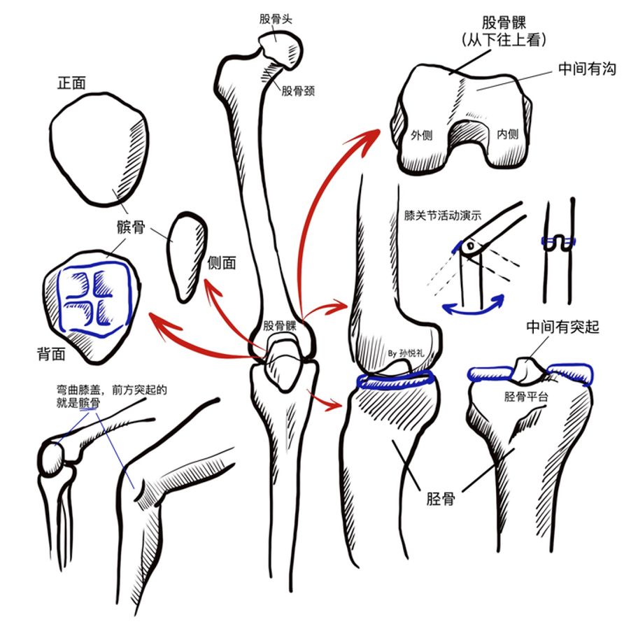 在家待久了脚痛,在家待久了胳膊关节痛