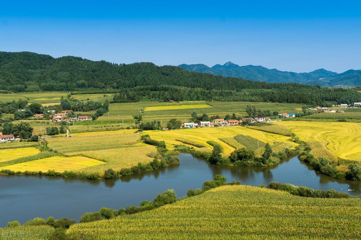 农村将迎大变化,农民在农村未来5年如何发展